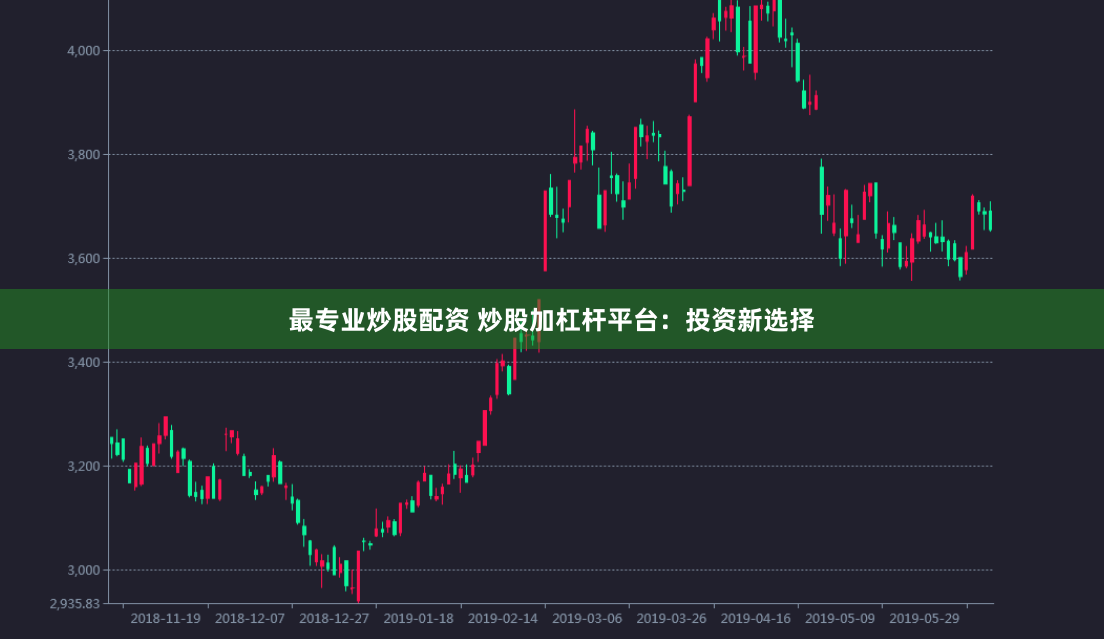 最专业炒股配资 炒股加杠杆平台：投资新选择