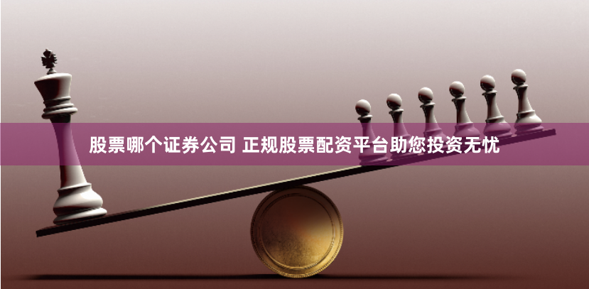 股票哪个证券公司 正规股票配资平台助您投资无忧