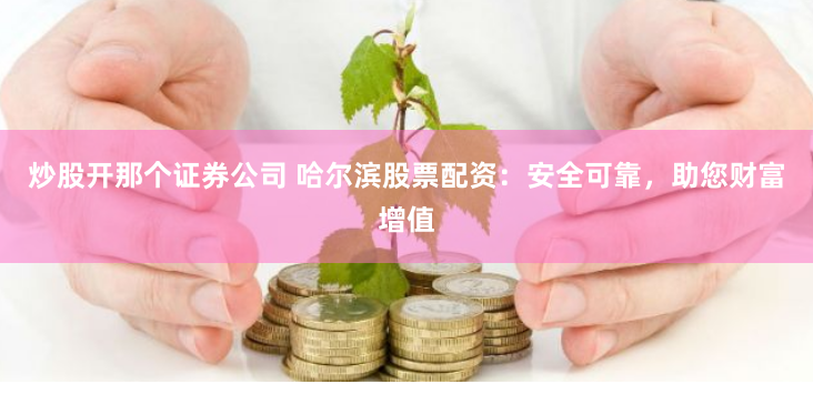 炒股开那个证券公司 哈尔滨股票配资：安全可靠，助您财富增值