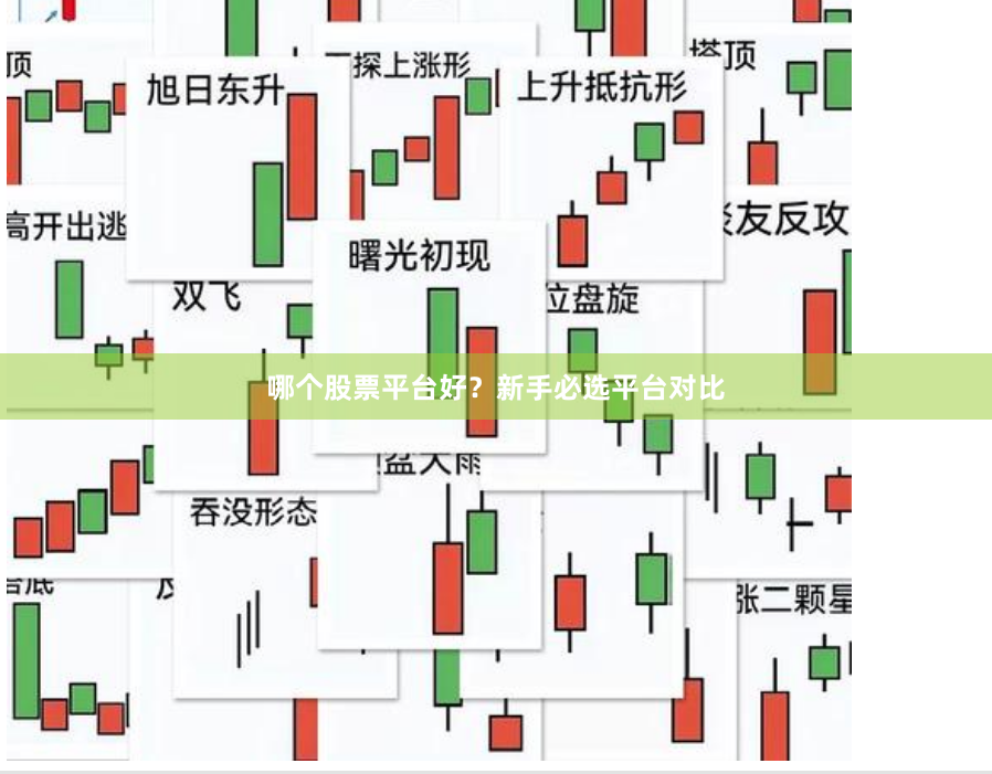 哪个股票平台好？新手必选平台对比